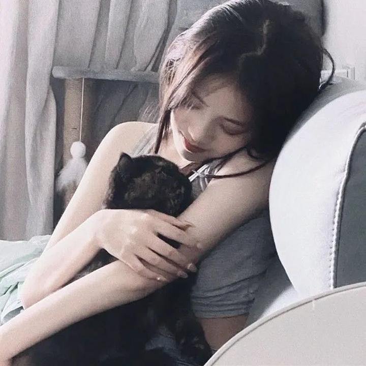 给我庇护